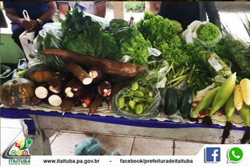 Foto - EDUCAÇÃO MERENDA1