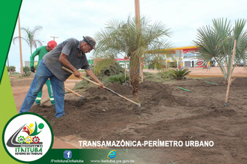 Foto - ENTRE OS QUILÔMENTROS 04 E 05 DA TRANSAMAZÔNICA