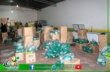 Foto - ENTREGA KITS MERENDA ESCOLAR