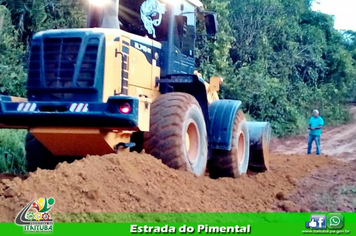 Foto - ESTRADA DE PIMENTAL