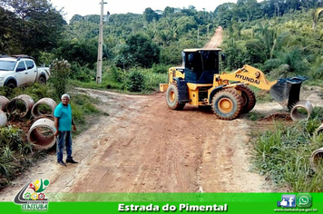 Foto - ESTRADA DE PIMENTAL