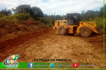 Foto - ESTRADAS