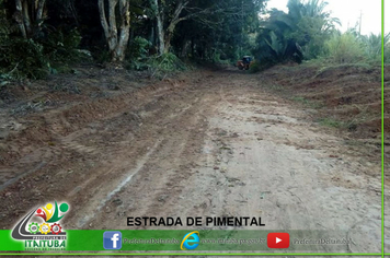 Foto - ESTRADAS
