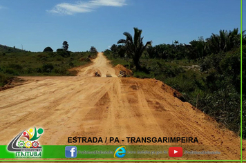 Foto - ESTRADAS