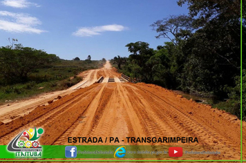 Foto - ESTRADAS