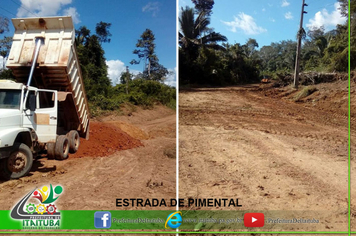 Foto - ESTRADAS