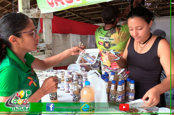 FESTIVAL DO C...