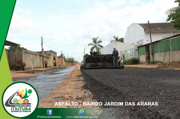 Foto - JARDIM DAS ARARAS