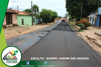 Foto - JARDIM DAS ARARAS