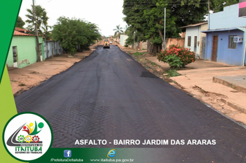 Foto - JARDIM DAS ARARAS