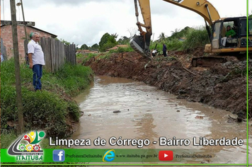 Foto - LIMPEZA DE LIXO