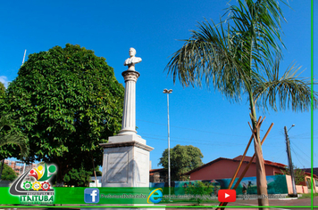 Foto - PALMEIRAS IMPERIAIS NA PRAÇA