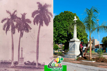 Foto - PALMEIRAS IMPERIAIS NA PRAÇA