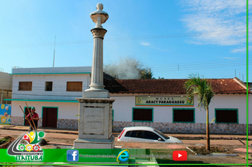 Foto - PALMEIRAS IMPERIAIS NA PRAÇA