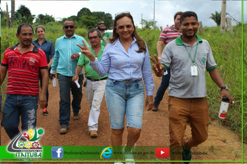 Foto - PLANTAÇÃO CITROS