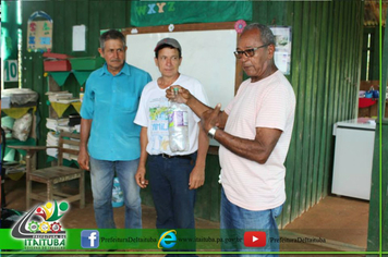 Foto - PLANTAÇÃO CITROS