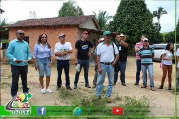 Foto - PLANTAÇÃO CITROS