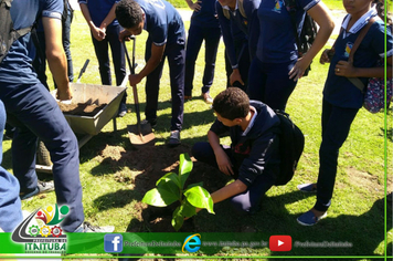 Foto - PROJETO DE REFLORESTAMENTO