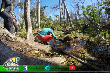 Foto - SEMANA MEIO AMBIENTE SEMMA