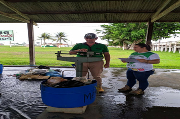 Foto - TÉCNICOS REALIZAM MAIS UMA ETAPA DA GRAVIMETRIA