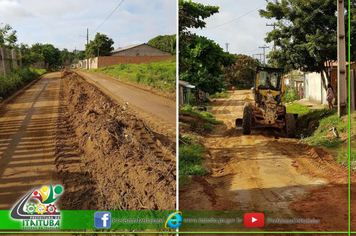 Foto - VITÓRIA REGIA