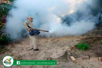 O FUMACÊ EM COMBATE A DENGUE 