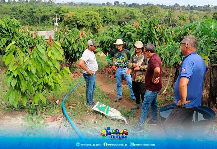 DIA DE CAMPO COM TEMÁTICAS SOBRE A PRODUÇÃO CACAUEIRA SERÁ REALIZADO DIA 21 DE AGOSTO NA VICINAL NORTE-SUL EM ITAITUBA.