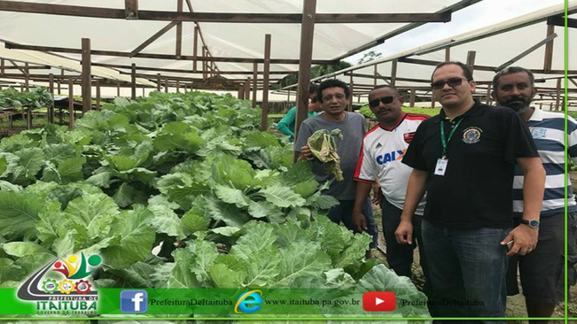 SEMAGRA EM PARCERIA DÁ ASSISTÊNCIA AOS PRODUTORES PARA O CULTIVO DE HORTALIÇAS