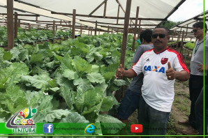 SEMAGRA EM PARCERIA DÁ ASSISTÊNCIA AOS PRODUTORES PARA O CULTIVO DE HORTALIÇAS